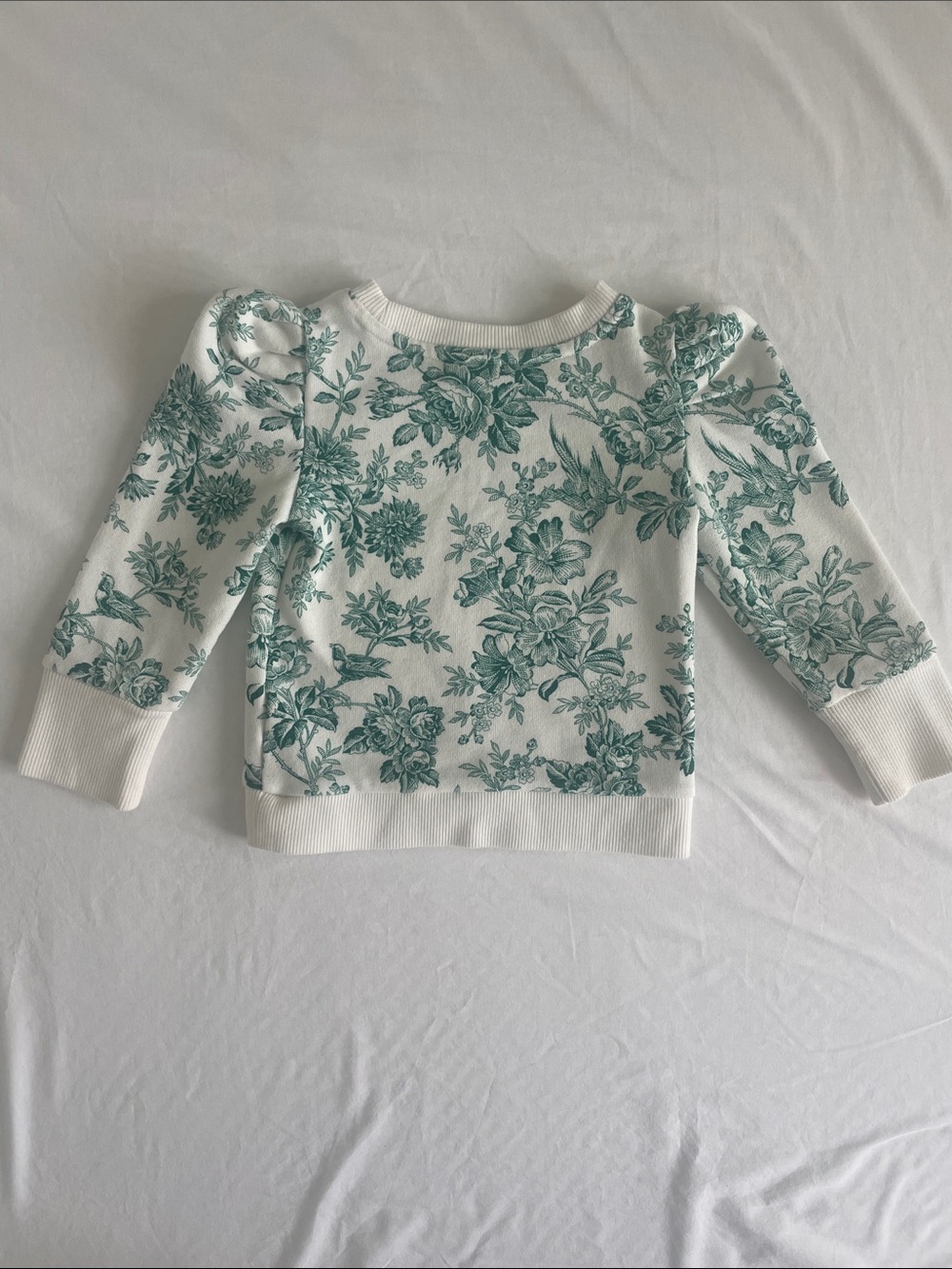 Janie and Jack White Sweatshirt with Teal Green Nature Print 2T (EUC) - Picture 5 of 6